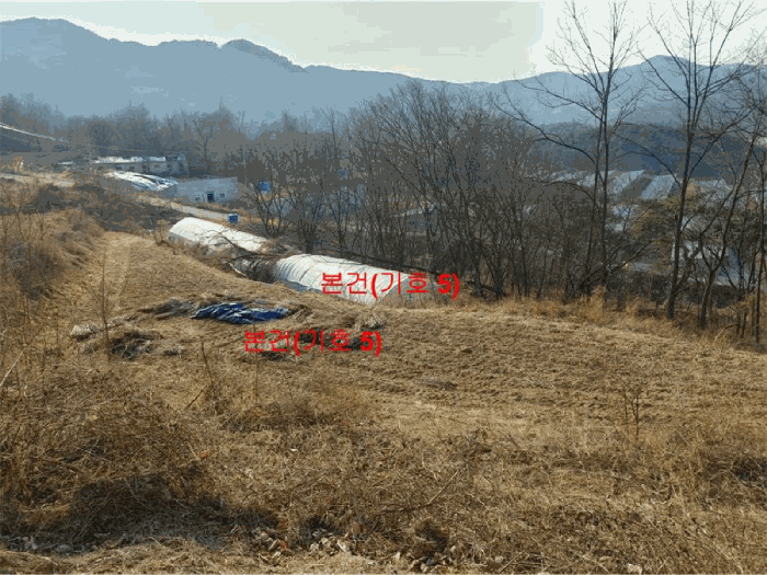 경상남도 합천군 묘산면 관기리 495-1 외 5필지 답 경매 사진 18