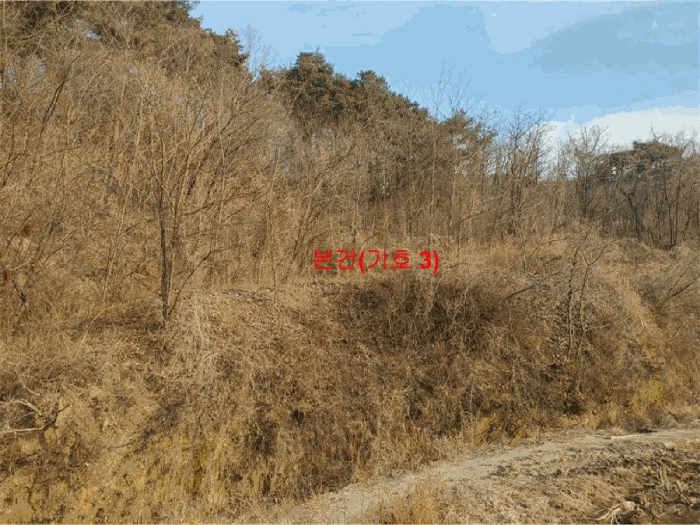 경상남도 합천군 묘산면 관기리 495-1 외 5필지 답 경매 사진 19
