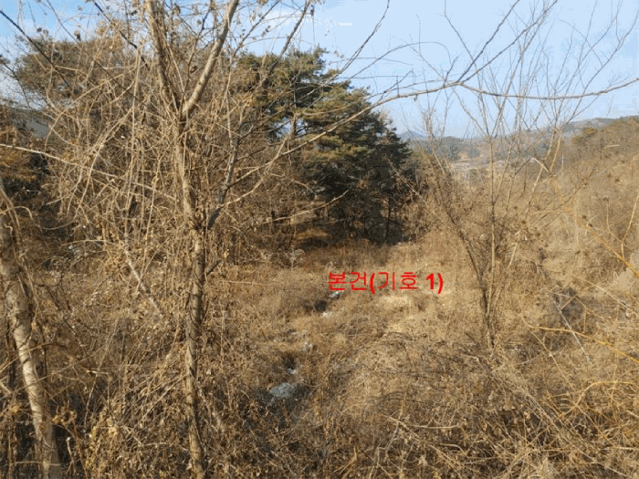 경상남도 합천군 묘산면 관기리 495-1 외 5필지 답 경매 사진 24