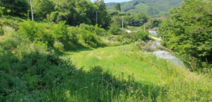 경상남도 합천군 묘산면 관기리 495-1 외 5필지 답 경매 사진 8