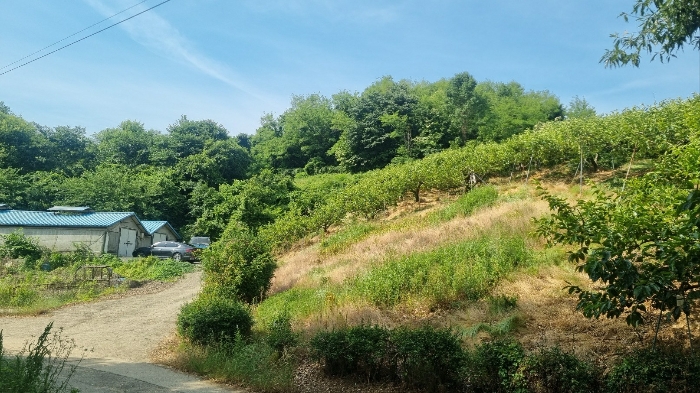 경상남도 창원시 의창구 동읍 월잠리 341 전 경매 사진 3