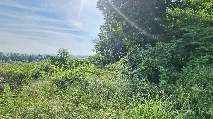 경상남도 창원시 의창구 동읍 월잠리 341 전 경매 사진 7
