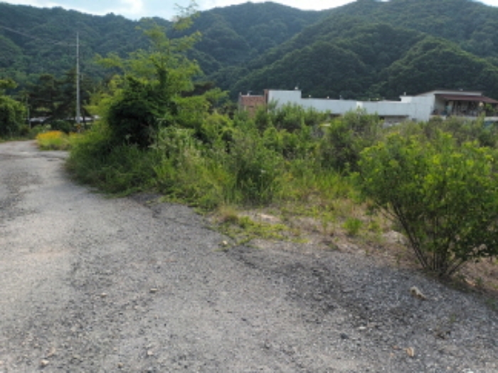 충청남도 금산군 부리면 수통리 716-28 외 7필지 임야 경매 사진 3