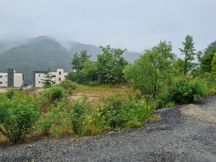 충청남도 금산군 부리면 수통리 716-28 외 7필지 임야 경매 사진 22