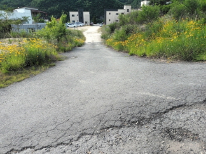충청남도 금산군 부리면 수통리 716-28 외 7필지 임야 경매 사진 4