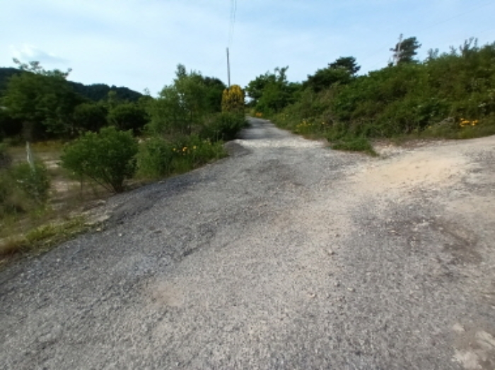 충청남도 금산군 부리면 수통리 716-28 외 7필지 임야 경매 사진 6