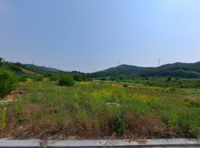 충청남도 서산시 운산면 고산리 423-21 외 3필지 임야 경매 사진 11