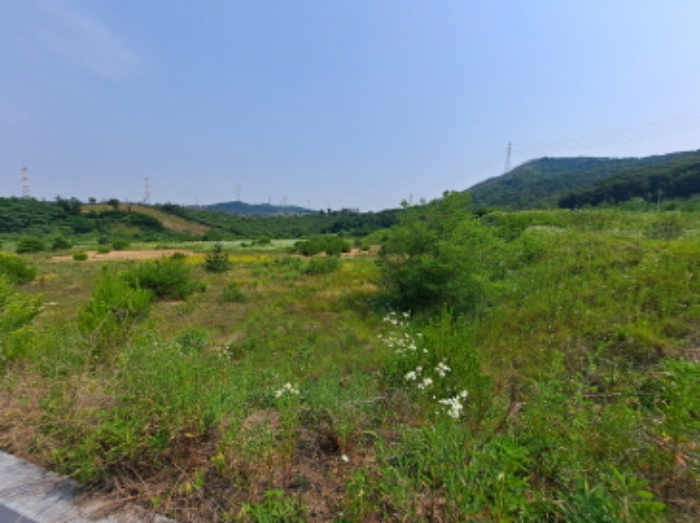 충청남도 서산시 운산면 고산리 423-21 외 3필지 임야 경매 사진 12