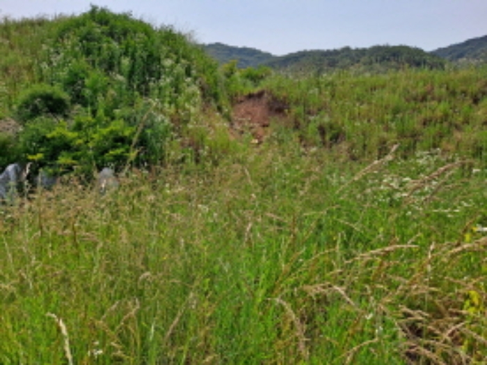 충청남도 서산시 운산면 고산리 423-21 외 3필지 임야 경매 사진 3