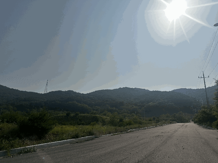 충청남도 서산시 운산면 고산리 423-21 외 3필지 임야 경매 사진 33