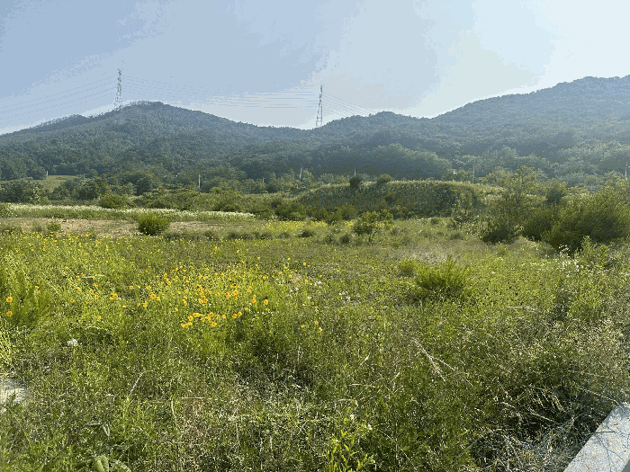 충청남도 서산시 운산면 고산리 423-21 외 3필지 임야 경매 사진 36
