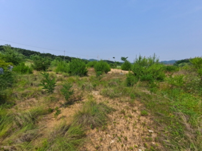 충청남도 서산시 운산면 고산리 423-21 외 3필지 임야 경매 사진 5