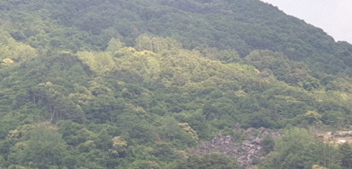 경상남도 함양군 마천면 가흥리 149 외 1필지 전 경매 사진 1