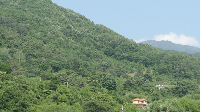 경상남도 함양군 마천면 가흥리 149 외 1필지 전 경매 사진 6