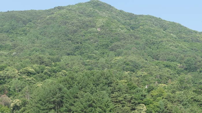 경상남도 함양군 마천면 가흥리 149 외 1필지 전 경매 사진 7