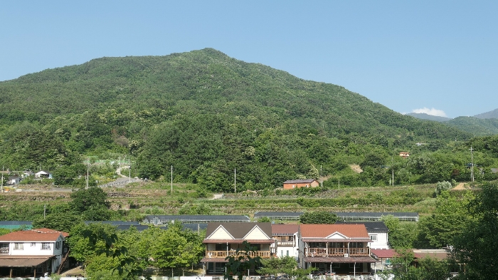 경상남도 함양군 마천면 가흥리 149 외 1필지 전 경매 사진 8