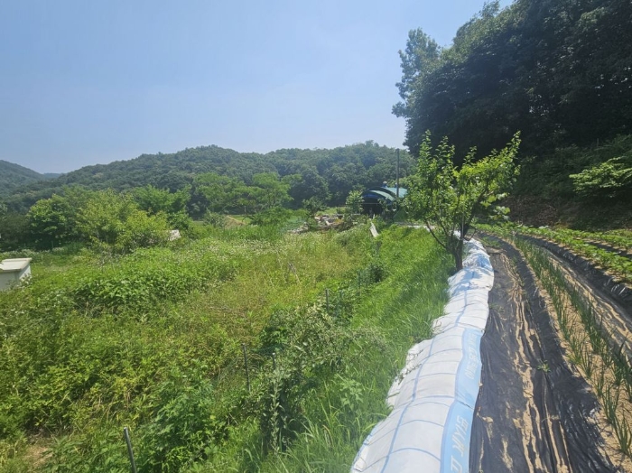 충청북도 음성군 소이면 충도리 752 외 3필지 단독주택 경매 사진 21