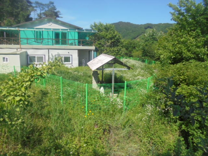 충청북도 음성군 소이면 충도리 752 외 3필지 단독주택 경매 사진 8