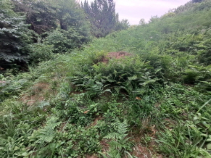 충청남도 서산시 운산면 갈산리 산116 임야 경매 사진 40