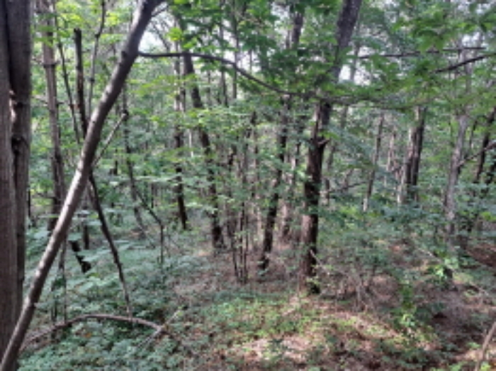 충청남도 서산시 운산면 갈산리 산116 임야 경매 사진 30