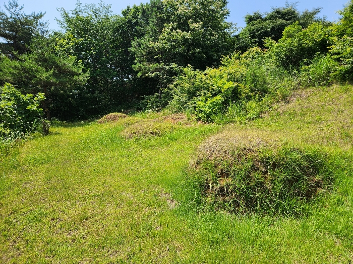충청남도 서산시 운산면 갈산리 산116 임야 경매 사진 48