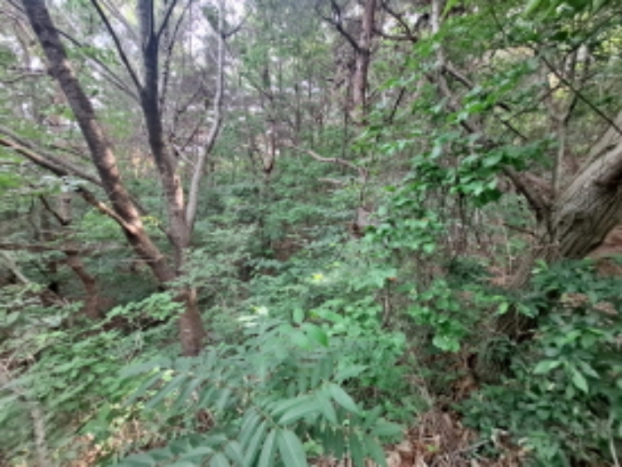 충청남도 서산시 운산면 갈산리 산116 임야 경매 사진 31