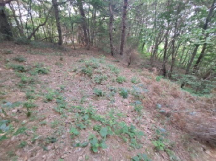 충청남도 서산시 운산면 갈산리 산116 임야 경매 사진 32
