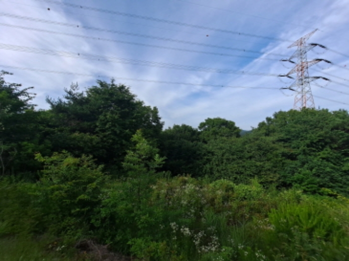 충청남도 서산시 운산면 갈산리 산116 임야 경매 사진 34