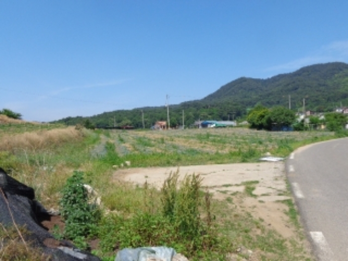 충청남도 서산시 인지면 성리 506 외 1필지 단독주택 경매 사진 21
