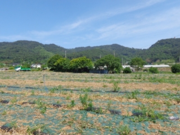 충청남도 서산시 인지면 성리 506 외 1필지 단독주택 경매 사진 22