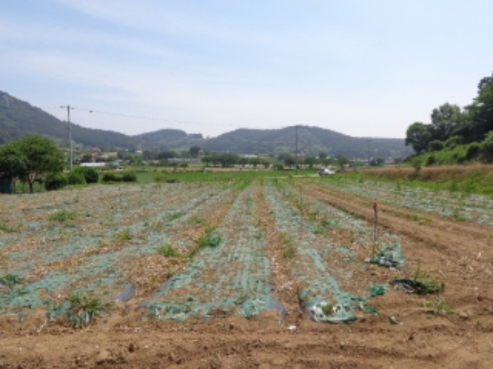 충청남도 서산시 인지면 성리 506 외 1필지 단독주택 경매 사진 23
