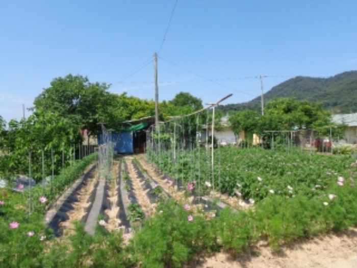 충청남도 서산시 인지면 성리 506 외 1필지 단독주택 경매 사진 24