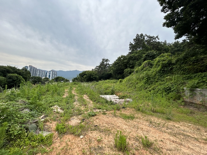 경상남도 창원시 진해구 마천동 47-1 전 경매 사진 19
