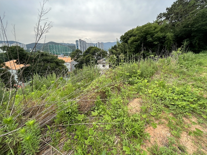 경상남도 창원시 진해구 마천동 47-1 전 경매 사진 20