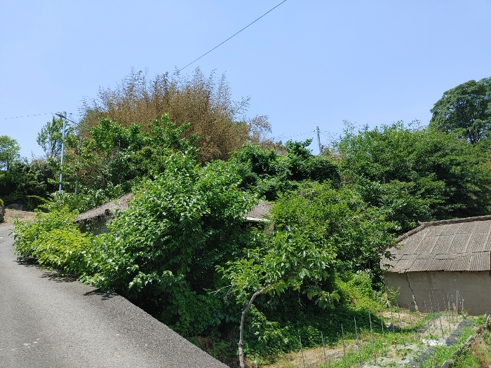 경상남도 창녕군 영산면 월령리 905 대지 경매 사진 20