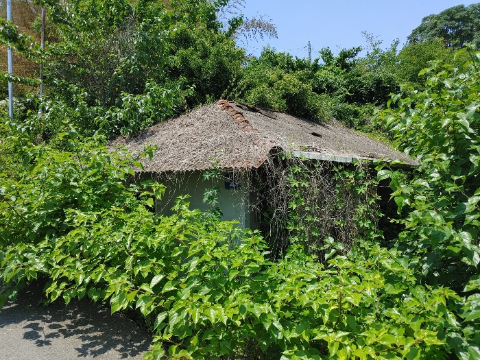 경상남도 창녕군 영산면 월령리 905 대지 경매 사진 21