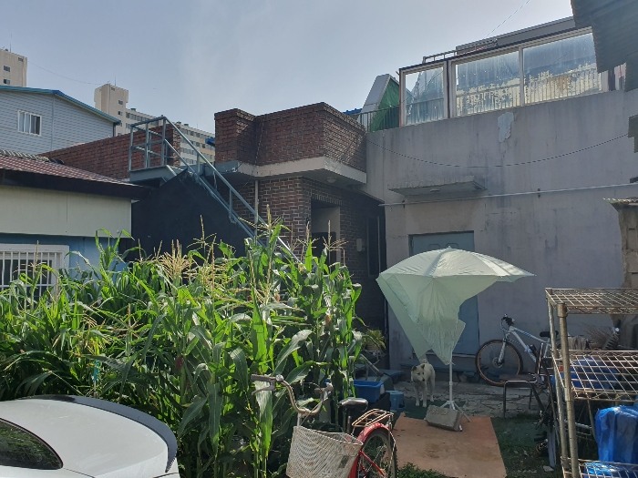 경기도 파주시 문산읍 문산리 56-15 주택 경매 사진 21