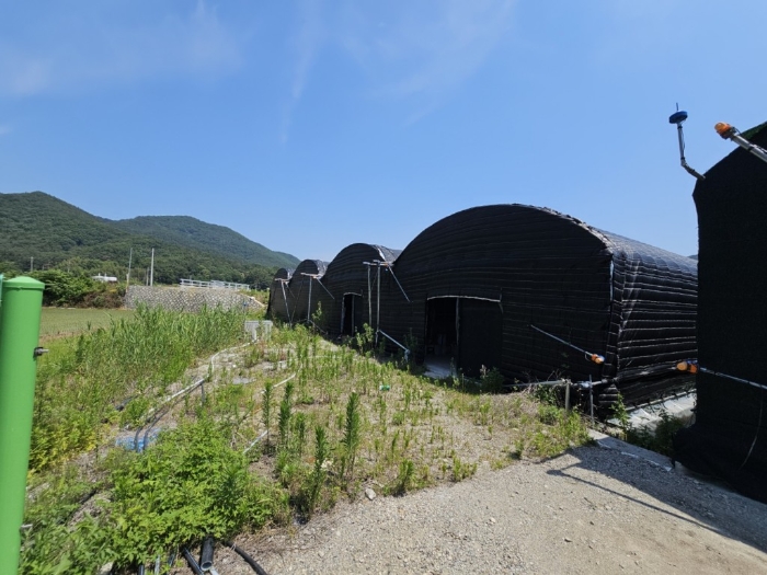 경상남도 밀양시 무안면 양효리 242 외 1필지 동물및식물관련시설 경매 사진 30