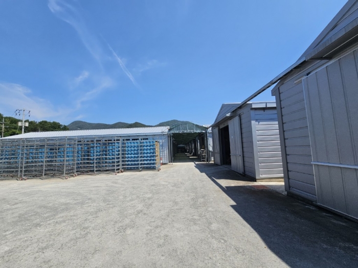 경상남도 밀양시 무안면 양효리 242 외 1필지 동물및식물관련시설 경매 사진 31
