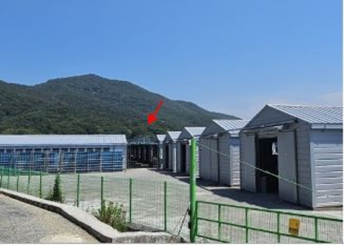 경상남도 밀양시 무안면 양효리 242 외 1필지 동물및식물관련시설 경매 사진 45