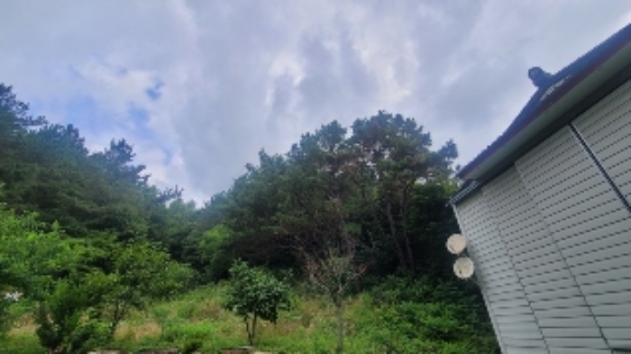 경상남도 함안군 법수면 윤내리 297-1 외 1필지 묘지 경매 사진 2