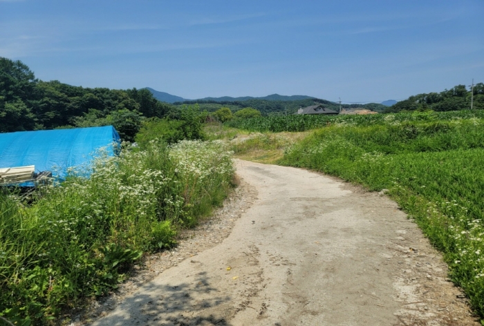 경기 양평군 강하면 동오리 258 창고시설 경매 사진 17