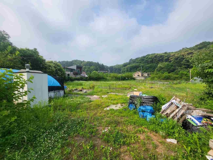 경기 양평군 강하면 동오리 258 창고시설 경매 사진 3