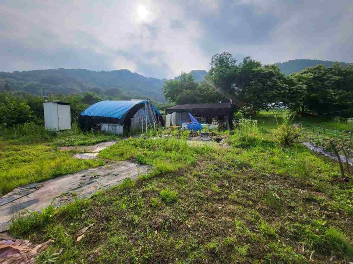 경기 양평군 강하면 동오리 258 창고시설 경매 사진 4