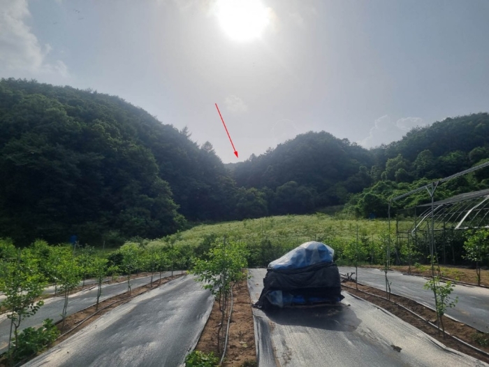 강원특별자치도 원주시 문막읍 비두리 282 전 경매 사진 2