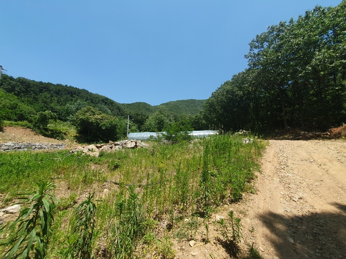 충청남도 예산군 예산읍 향천리 36-1 외 7필지 도로 경매 사진 20