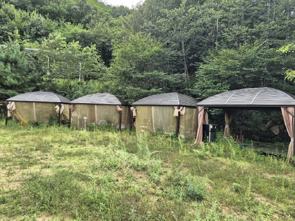 경상북도 상주시 은척면 남곡리 667-1 상가주택 경매 사진 15