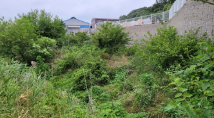 경기도 김포시 대곶면 대벽리 233 전 경매 사진 12