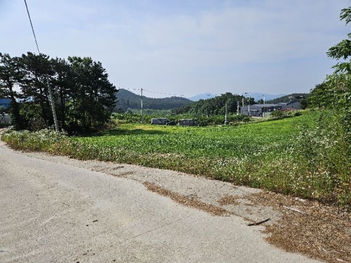 경기도 이천시 설성면 제요리 2 외 5필지 전 경매 사진 13