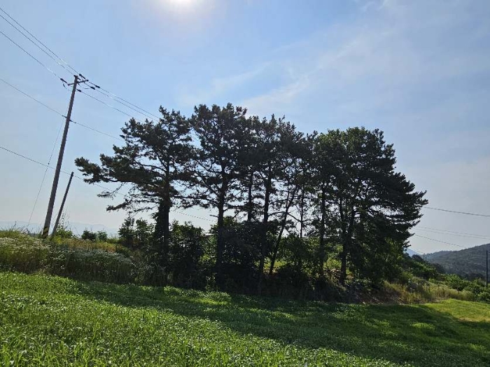 경기도 이천시 설성면 제요리 2 외 5필지 전 경매 사진 3